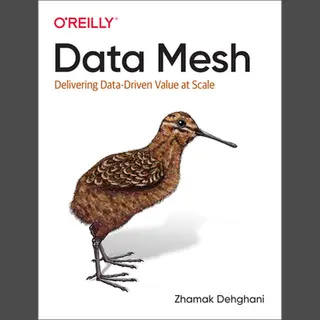 Data Mesh