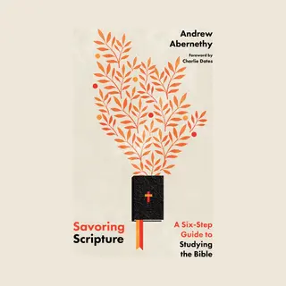 Savoring Scripture – A Six–Step Guide To Studying The Bible