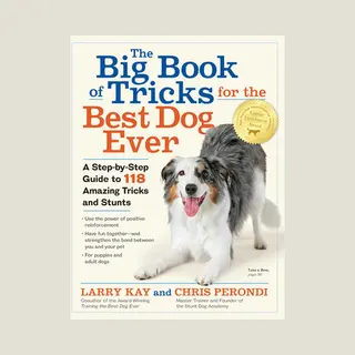 Big Book Of Tricks For The Best Dog Ever, The A StepbyStep Guide To 118 Amazing Tricks And Stunts