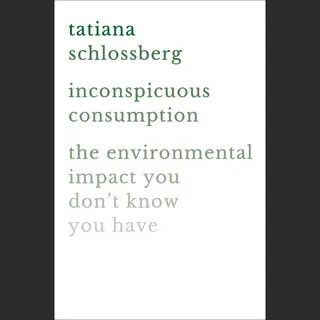 Isbn Inconspicuous Consumption boek Educatief Engels Hardcover 288 pagina's
