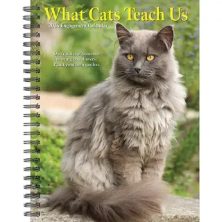 Willow Creek What Cats Teach Us Agenda 2026