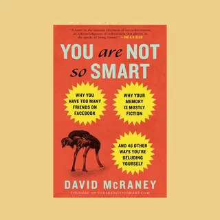 Isbn You Are Not So Smart boek Paperback 320 pagina's
