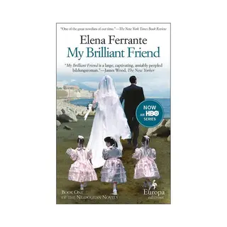 Allen & Unwin My Brilliant Friend book Literary fiction English 336 pages
