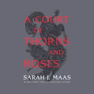 Isbn A Court of Thorns and Roses book English Hardcover 432 pages