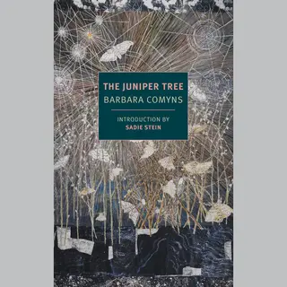 Isbn The Juniper Tree