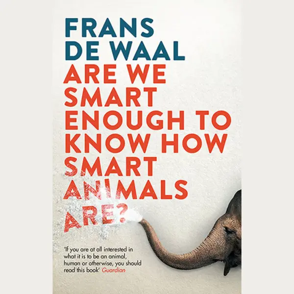 Allen & Unwin Sind wir schlau genug, um zu wissen, wie schlau Tiere sind? Buch Wissenschaft & Natur Englisch Taschenbuch 352 Seiten thumbnail
