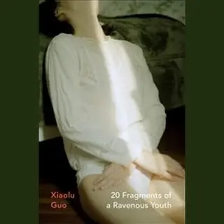 Isbn 20 Fragments of a Ravenous Youth book General novel English 208 pages