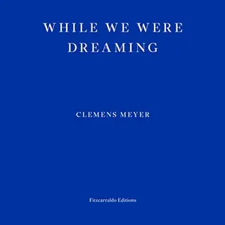 While We Were Dreaming