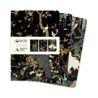 Flame Tree Midi Notebook Collections- Ashmolean Museum Set Of 3 Midi Notebooks