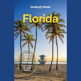 Lonely Planet Global Limited Lonely Planet Florida