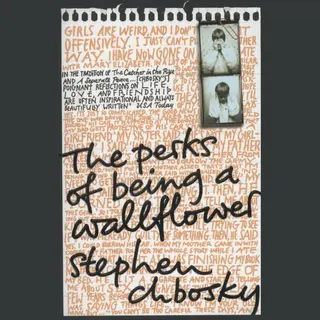 Pocket Books The Perks Of Being A Wallflower book English Paperback 224 pages