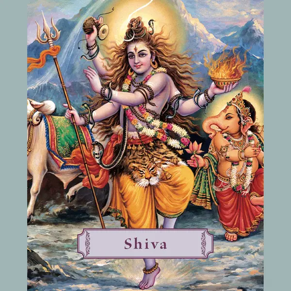 Isbn Shiva boek Engels Hardcover 96 pagina's thumbnail