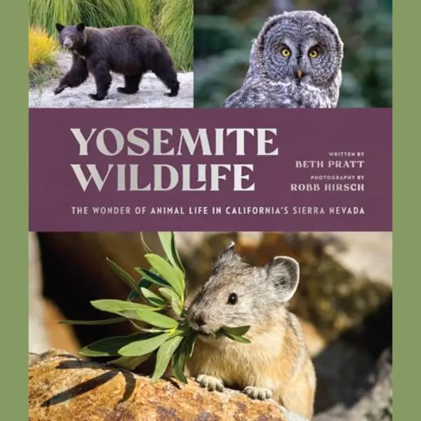 Yosemite Wildlife thumbnail