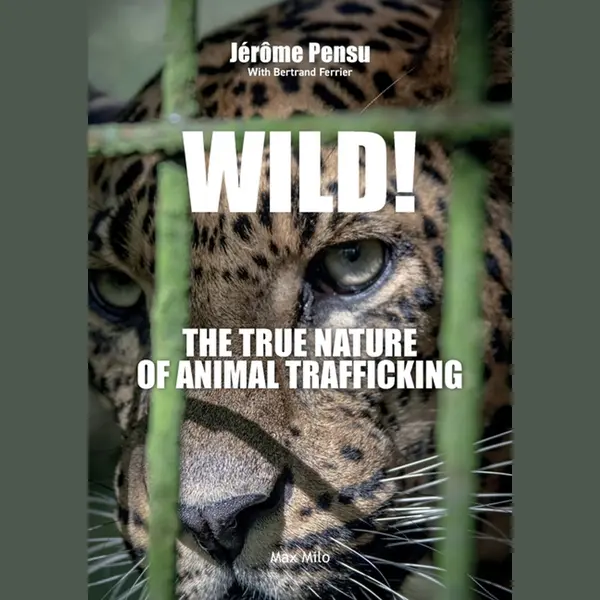 Wild! The True Nature Of Animal Trafficking thumbnail