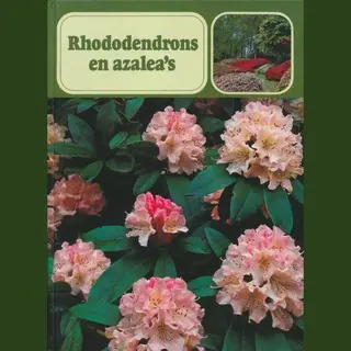 Rhododendrons En Azalea S
