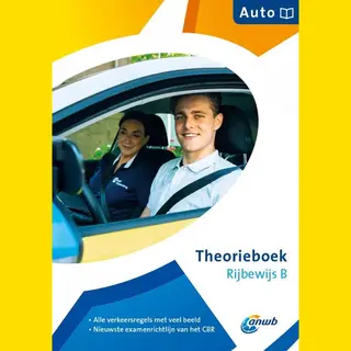 Rijbewijs B