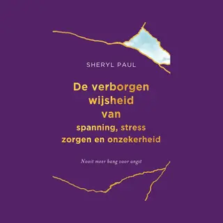 Sheryl Paul De Verborgen Wijsheid Van Spanning, Stress, Zorgen En Onzekerheid