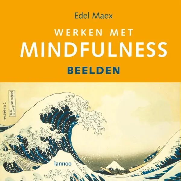 Werken Met Mindfulness thumbnail