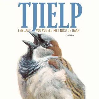 Tjielp