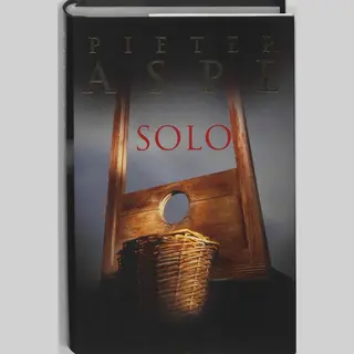 Solo / Pieter Aspe
