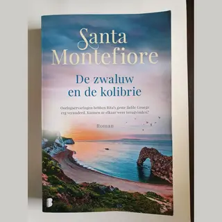 De Zwaluw En De Kolibrie