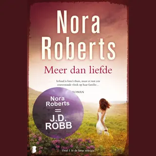 Ierse Trilogie 1 - Meer Dan Liefde