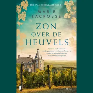 Wijngaard 3 - Zon Over De Heuvels