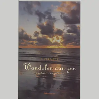Wandelen Aan Zee
