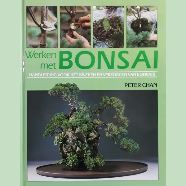 Werken Met Bonsai thumbnail