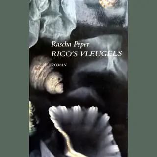 Rico's Vleugels