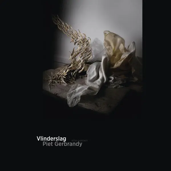 Vlinderslag thumbnail
