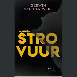 Gerwin van der Werf Strovuur
