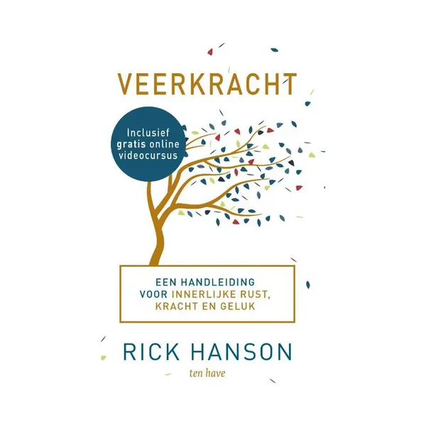 Rick Hanson Veerkracht thumbnail