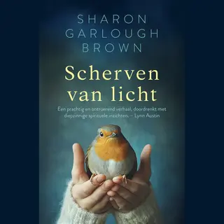 Scherven Van Licht 1 - Scherven Van Licht