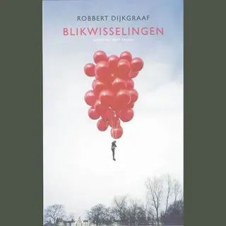 Blikwisselingen