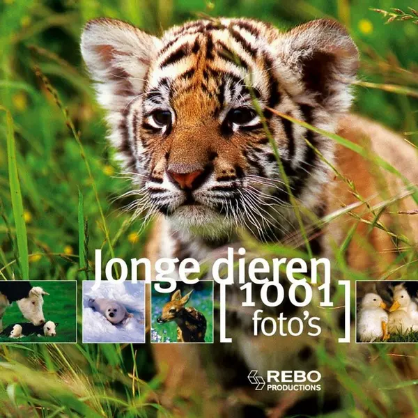Jonge Dieren 1001 Foto's thumbnail