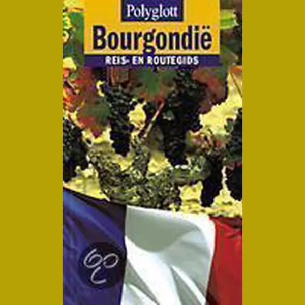 M. Braunger Bourgondie / Polyglott Reis- En Routegids thumbnail