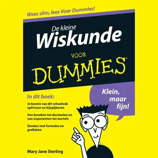Mary Jane Sterling De Kleine Wiskunde Voor Dummies / Voor Dummies