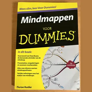 Voor Dummies - Mindmappen Voor Dummies