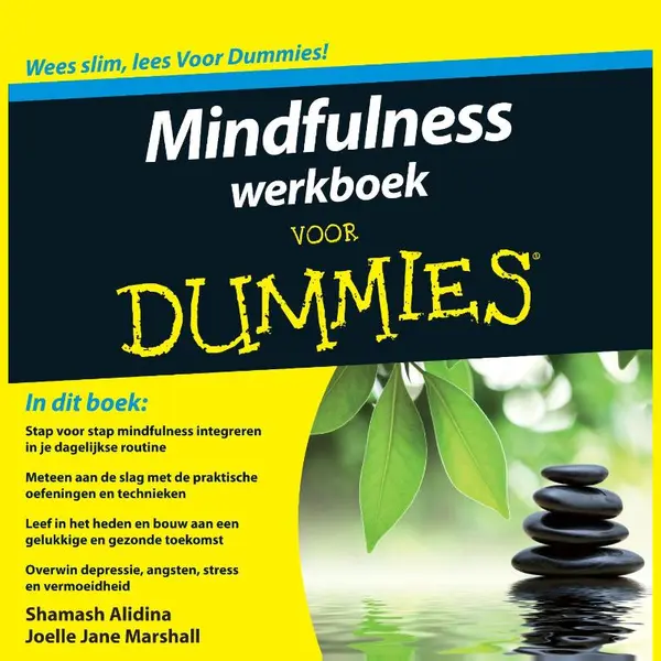 Joelle Jane Marshall Mindfulness Werkboek Voor Dummies / Voor Dummies thumbnail