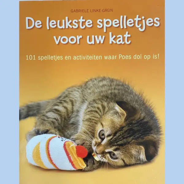 De Leukste Spelletjes Voor Uw Kat thumbnail