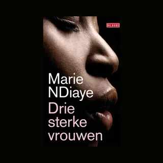 Marie NDiaye Drie Sterke Vrouwen