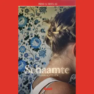Schaamte - Karin Alvtegen