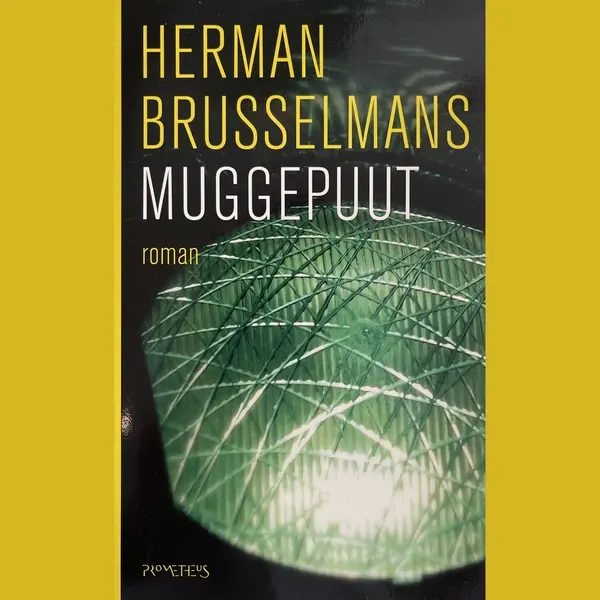Muggepuut thumbnail