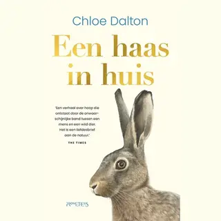 Een Haas In Huis