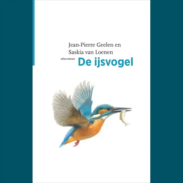 De Vogelserie 28 - De Ijsvogel thumbnail