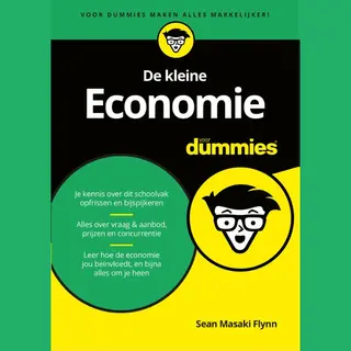 Sean Masaki Flynn De Kleine Economie Voor Dummies / Voor Dummies
