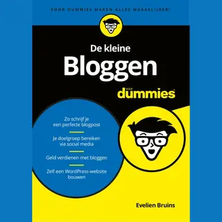 De Kleine Bloggen Voor Dummies