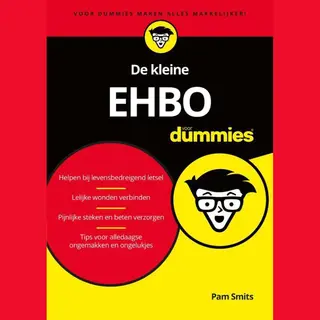 De Kleine Ehbo Voor Dummies