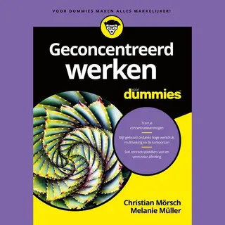 Christian Mörsch Geconcentreerd Werken Voor Dummies / Voor Dummies
